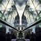 Illustration for article titled 41 More Amazing Photos From the Sony World Photography Awards
